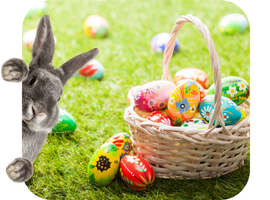 Oster Öffnungszeiten Sportivo Kempten